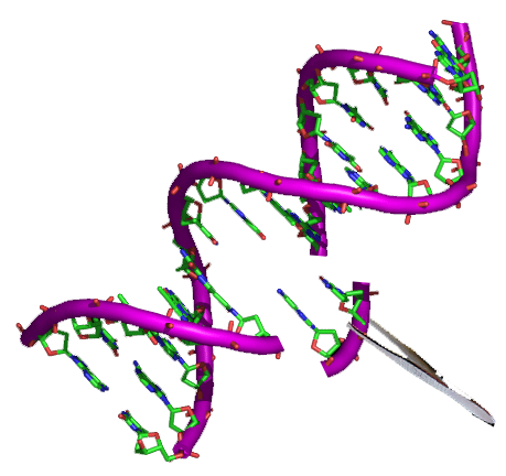 Genetik mühendisliği: Genetic Engineering - Görsel İncelemesi